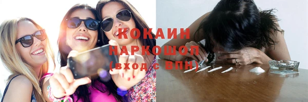 гидра Белокуриха