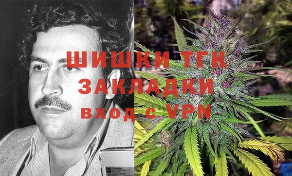 гидра Белокуриха
