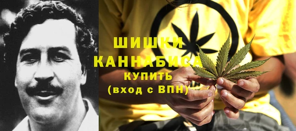 гидра Белокуриха