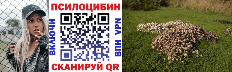 хочу наркоту  Волчанск  omg ссылка  Галлюциногенные грибы мухоморы 